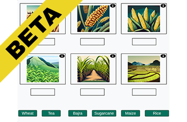 Major crops and cultivation